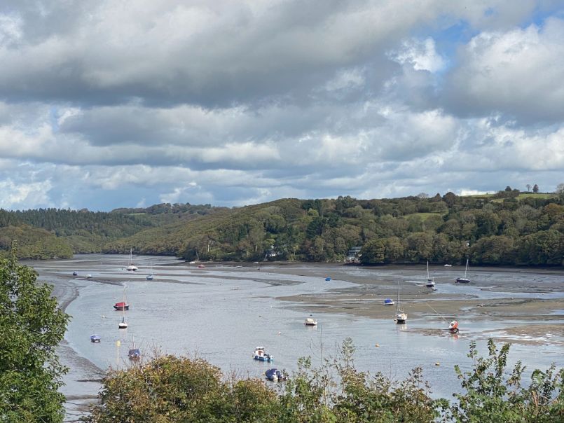 Why Did We Choose Golant as the Location for the Cormorant Development? golant fowey location 4 - Green and Rock