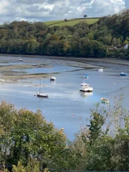 green and rock homepage fowey estuary 1 1 uai - Green and Rock